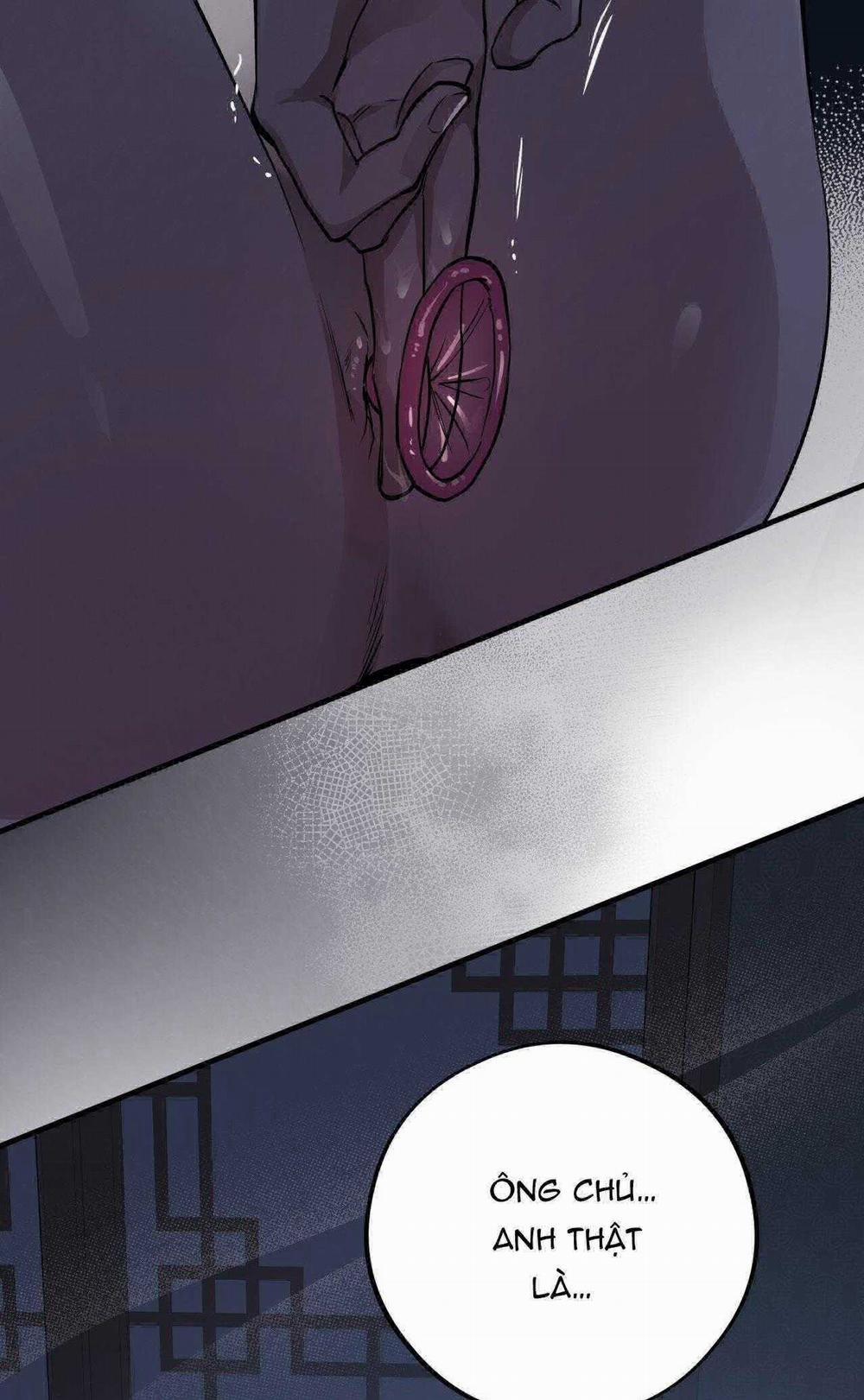 Honey Bear 58 trang 57