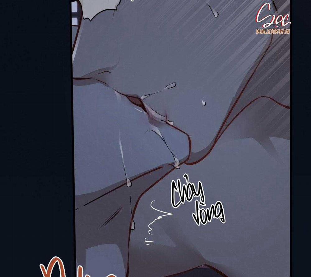 Honey Bear 58 trang 80