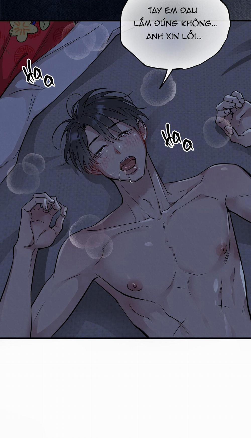 Honey Bear 59 trang 28