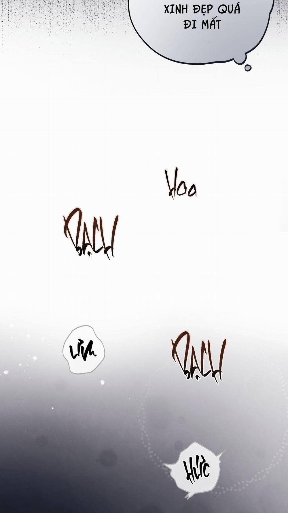 Honey Bear 59 trang 42