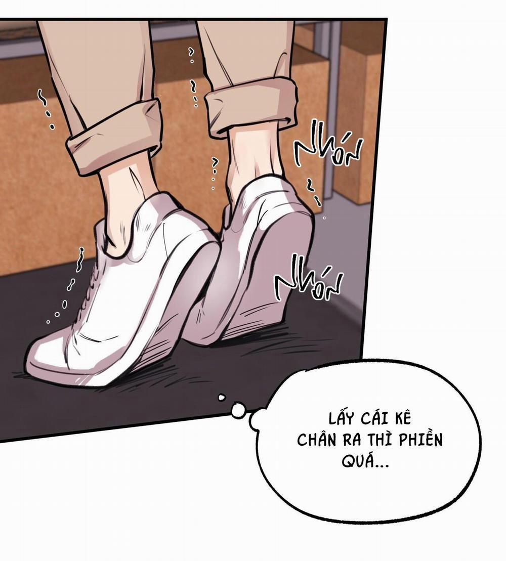 Honey Bear 6 trang 24