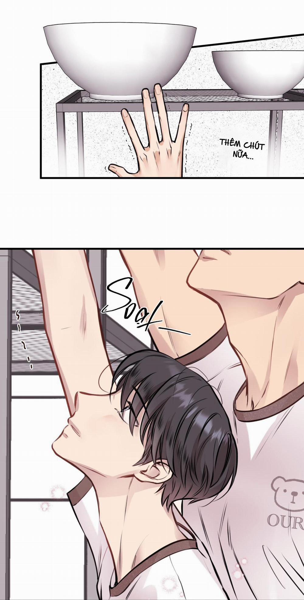 Honey Bear 6 trang 25