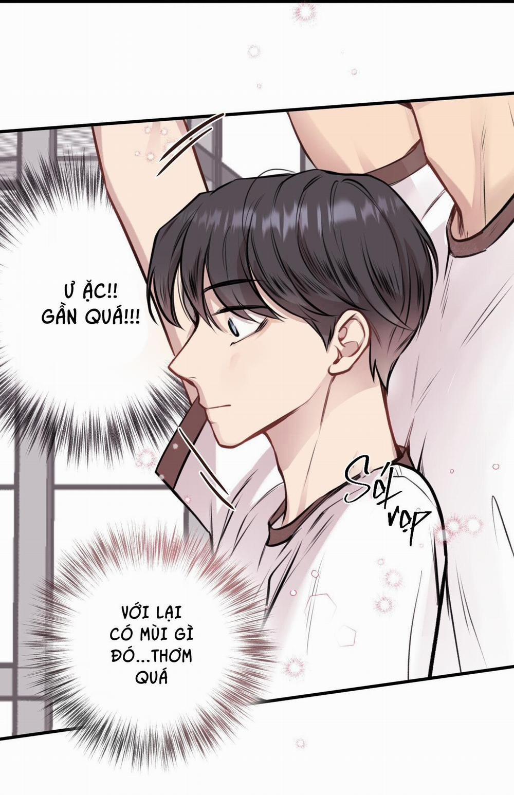 Honey Bear 6 trang 26