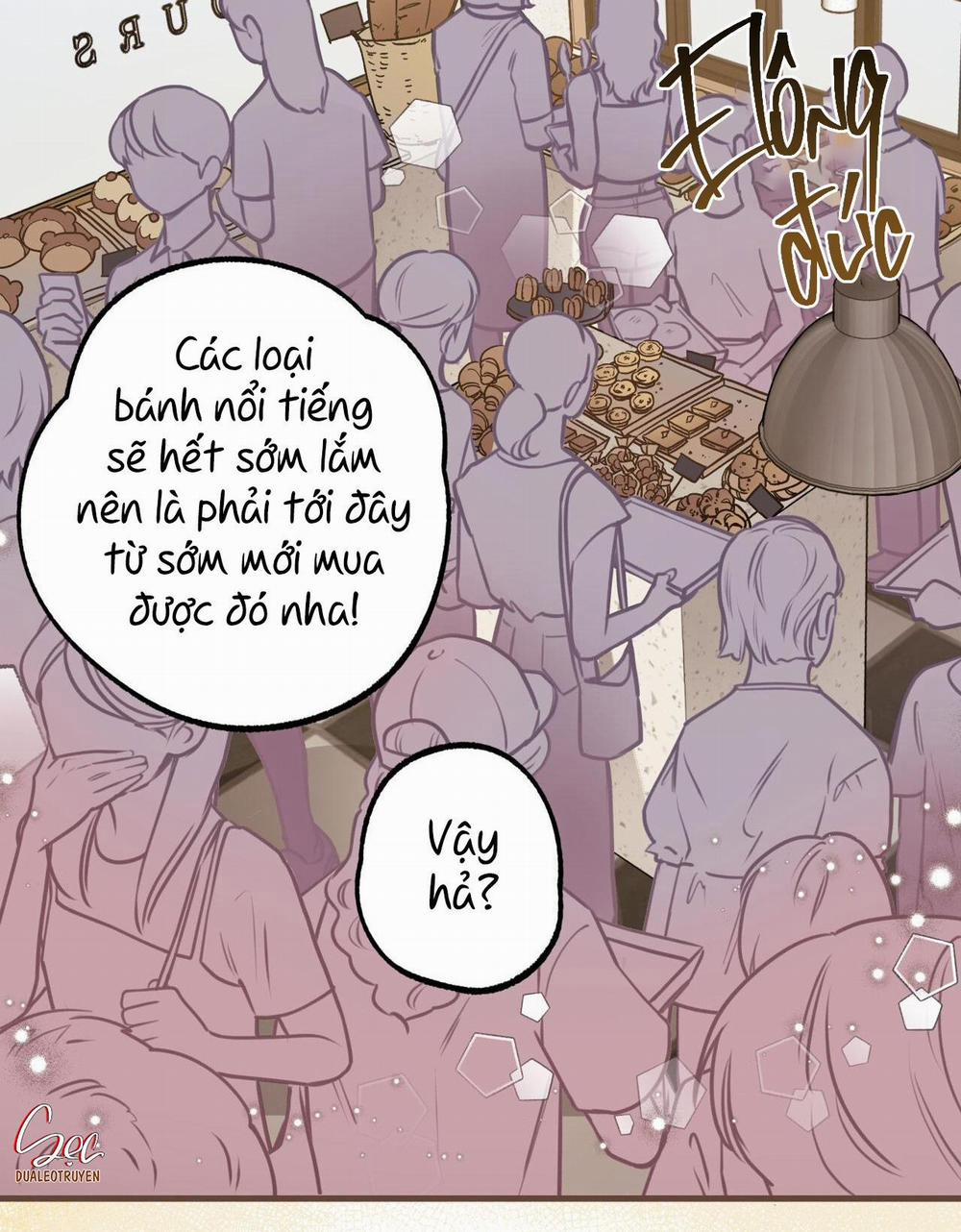 Honey Bear 6 trang 41