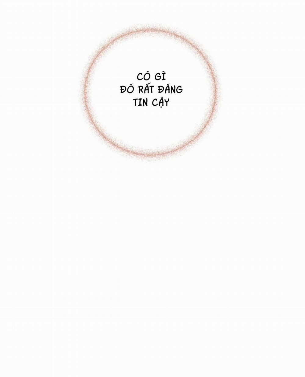 Honey Bear 6 trang 55