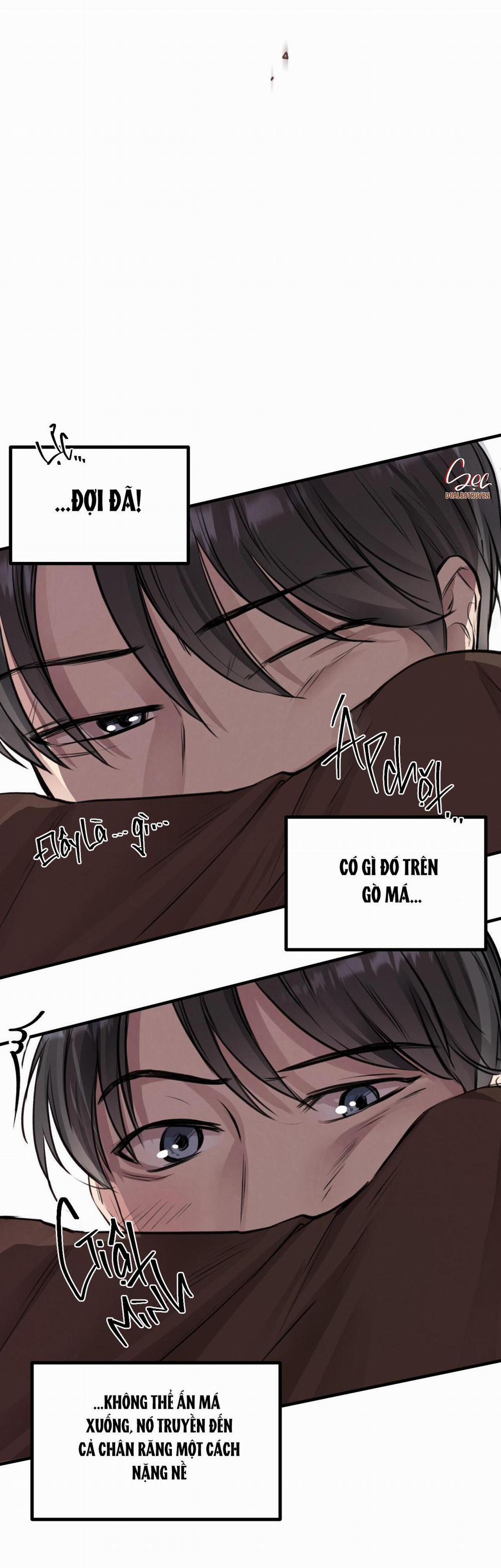 Honey Bear 6 trang 67