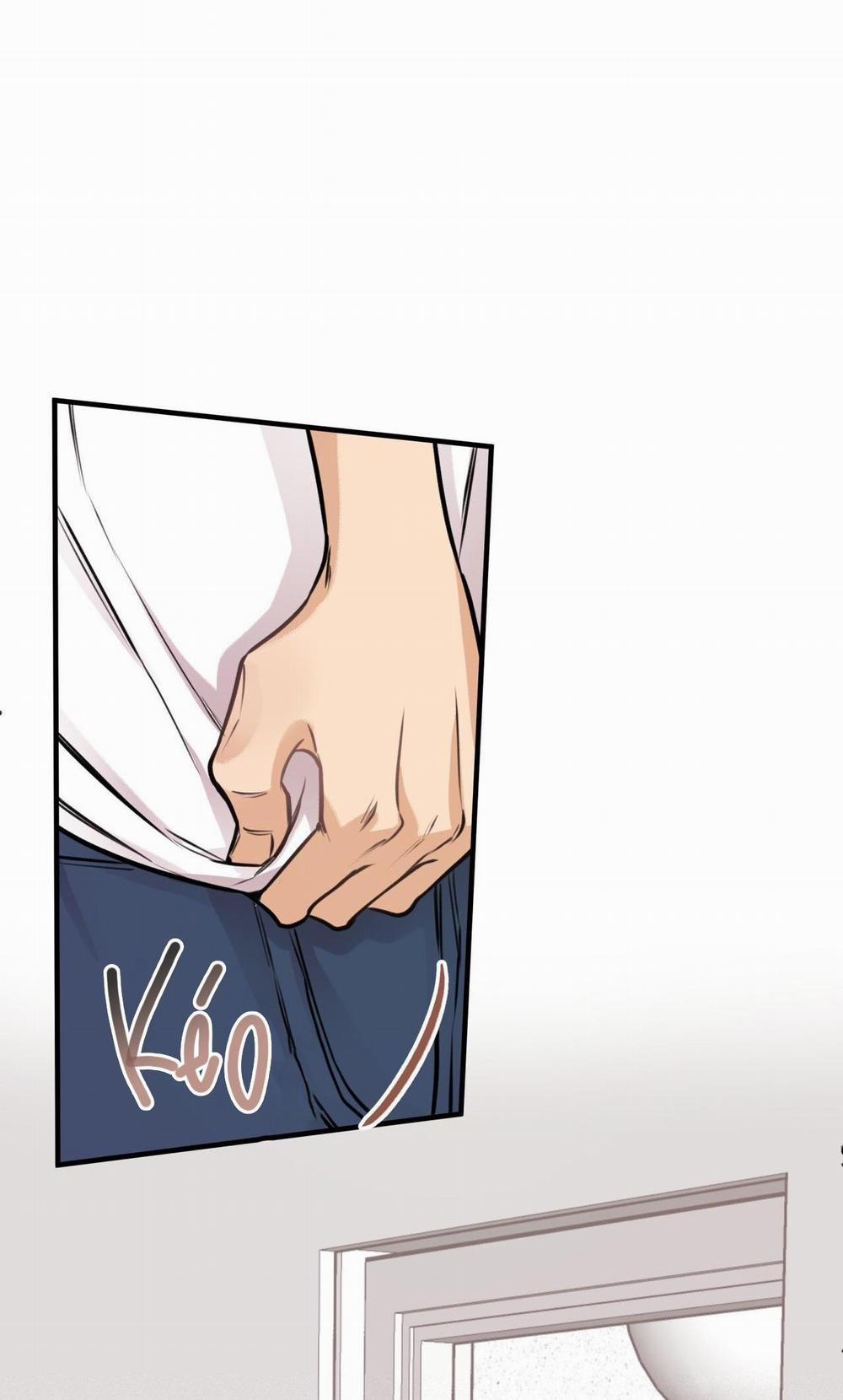 Honey Bear 6 trang 7