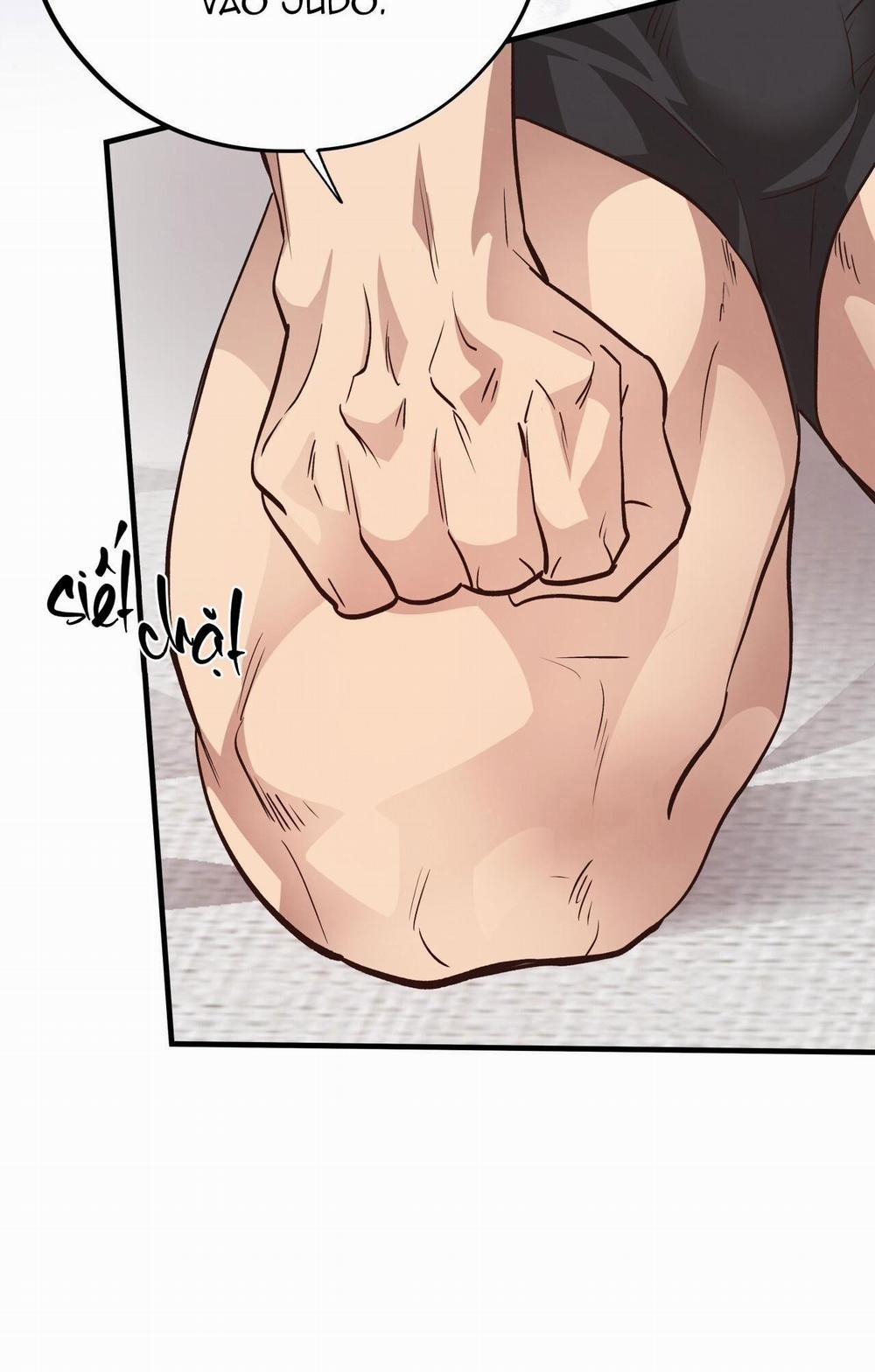 Honey Bear 60 trang 22