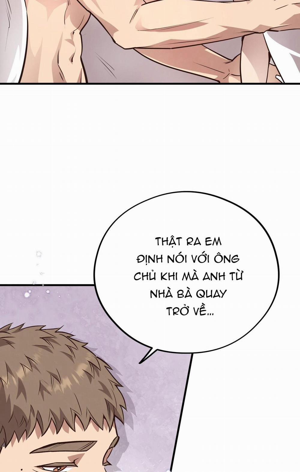 Honey Bear 60 trang 7