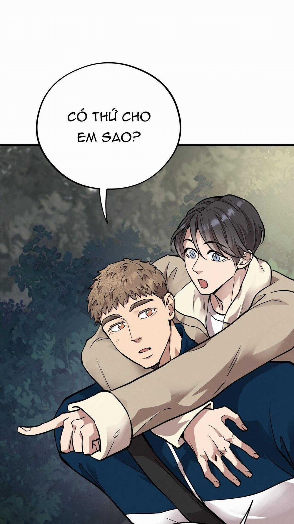 Honey Bear 61 trang 43