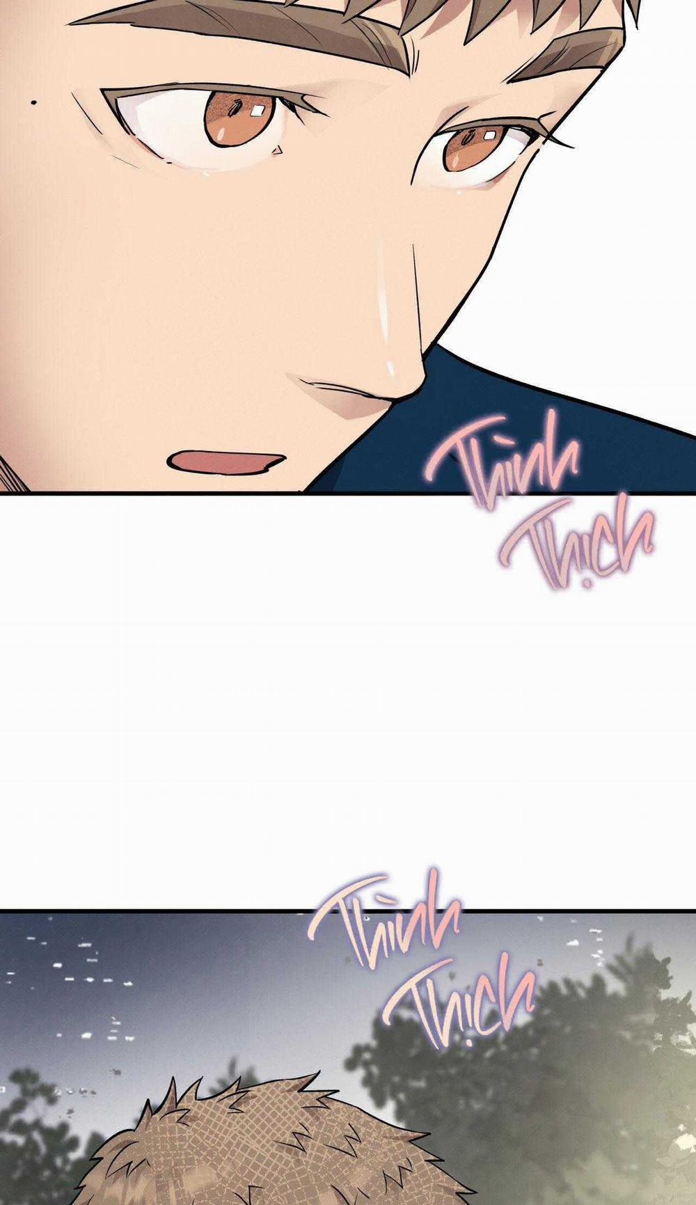 Honey Bear 61 trang 67