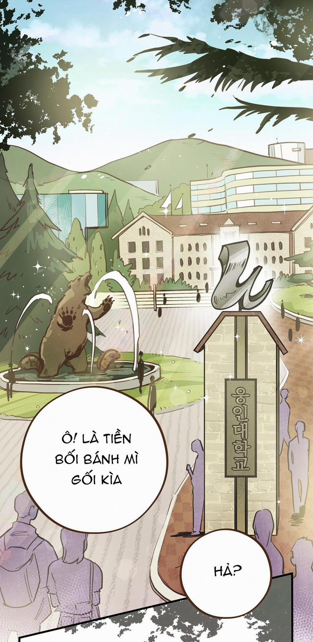 Honey Bear 7 trang 1