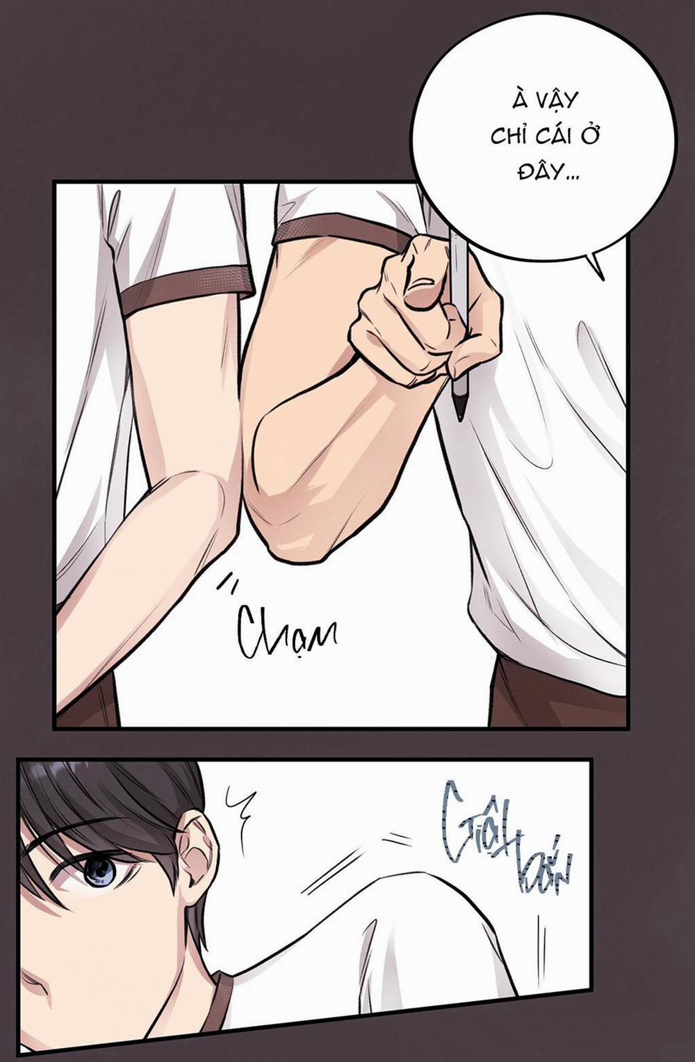 Honey Bear 7 trang 17