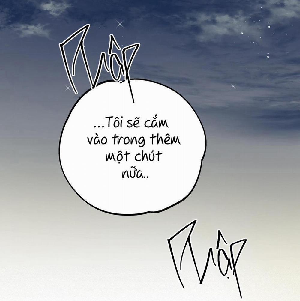 Honey Bear 7 trang 37