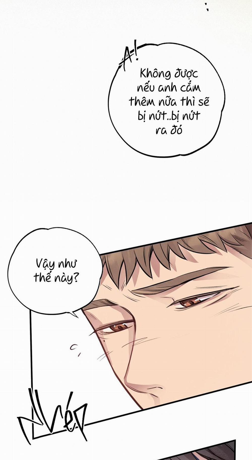 Honey Bear 7 trang 38