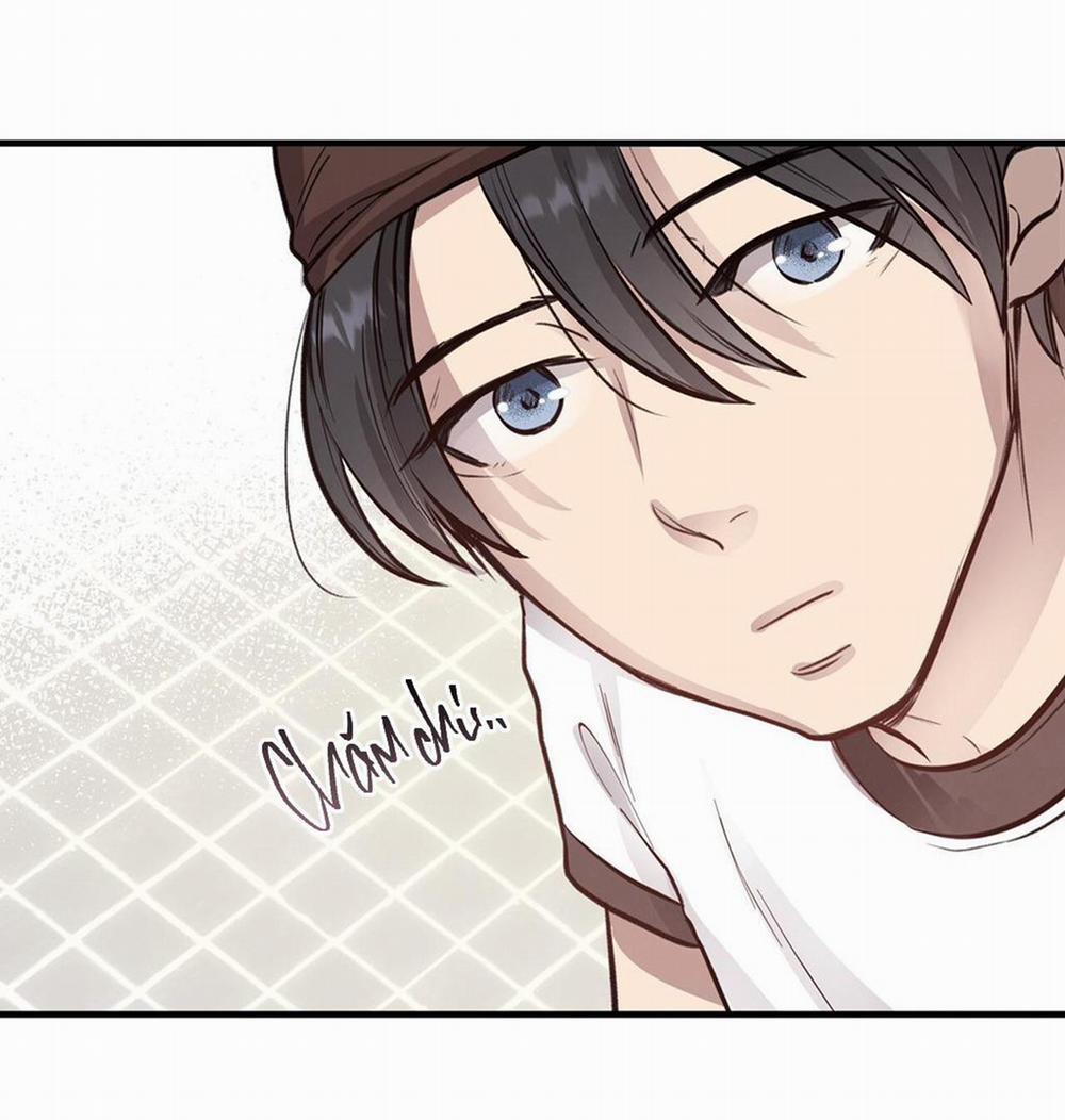 Honey Bear 7 trang 48