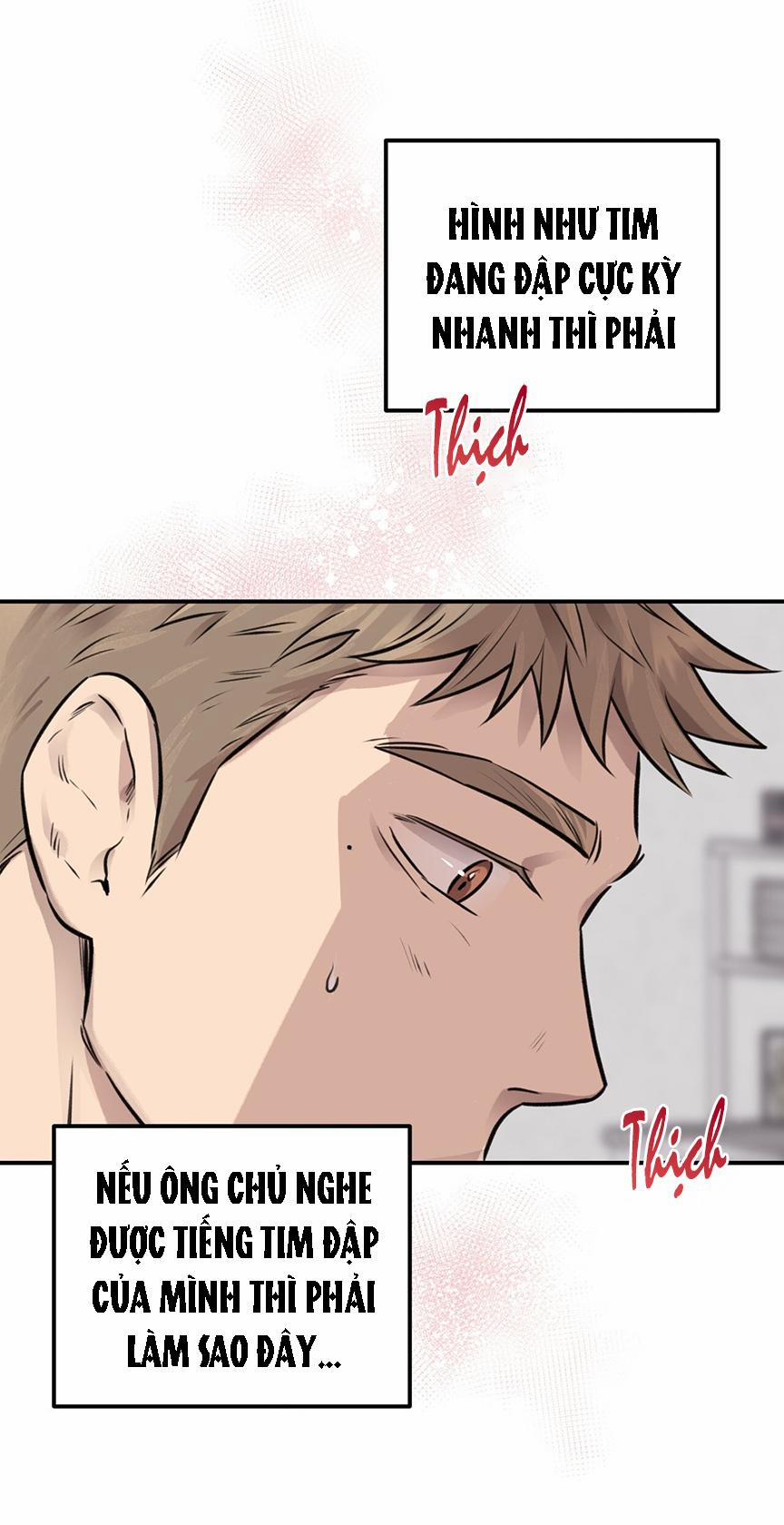 Honey Bear 8 trang 11