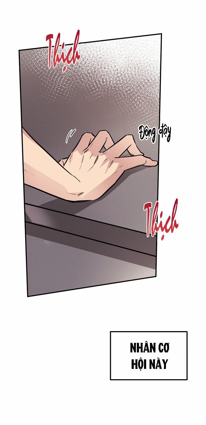 Honey Bear 8 trang 12