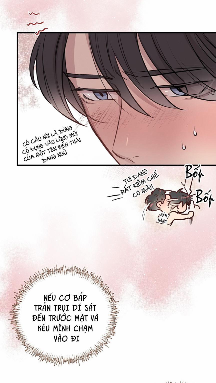 Honey Bear 8 trang 19