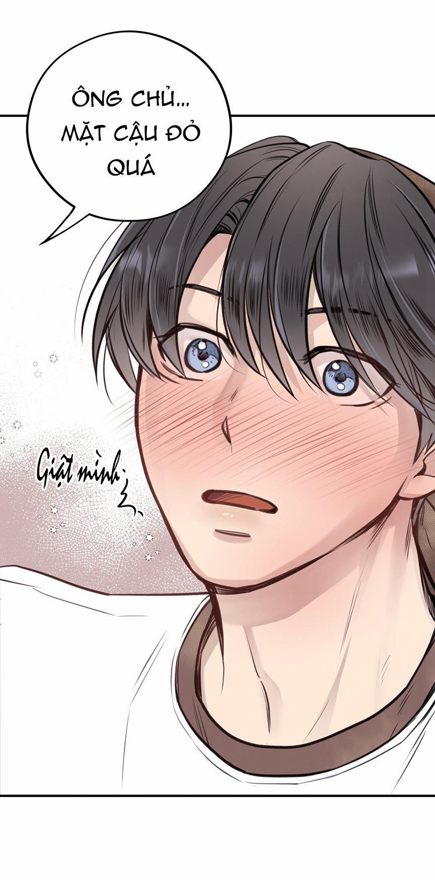 Honey Bear 8 trang 25