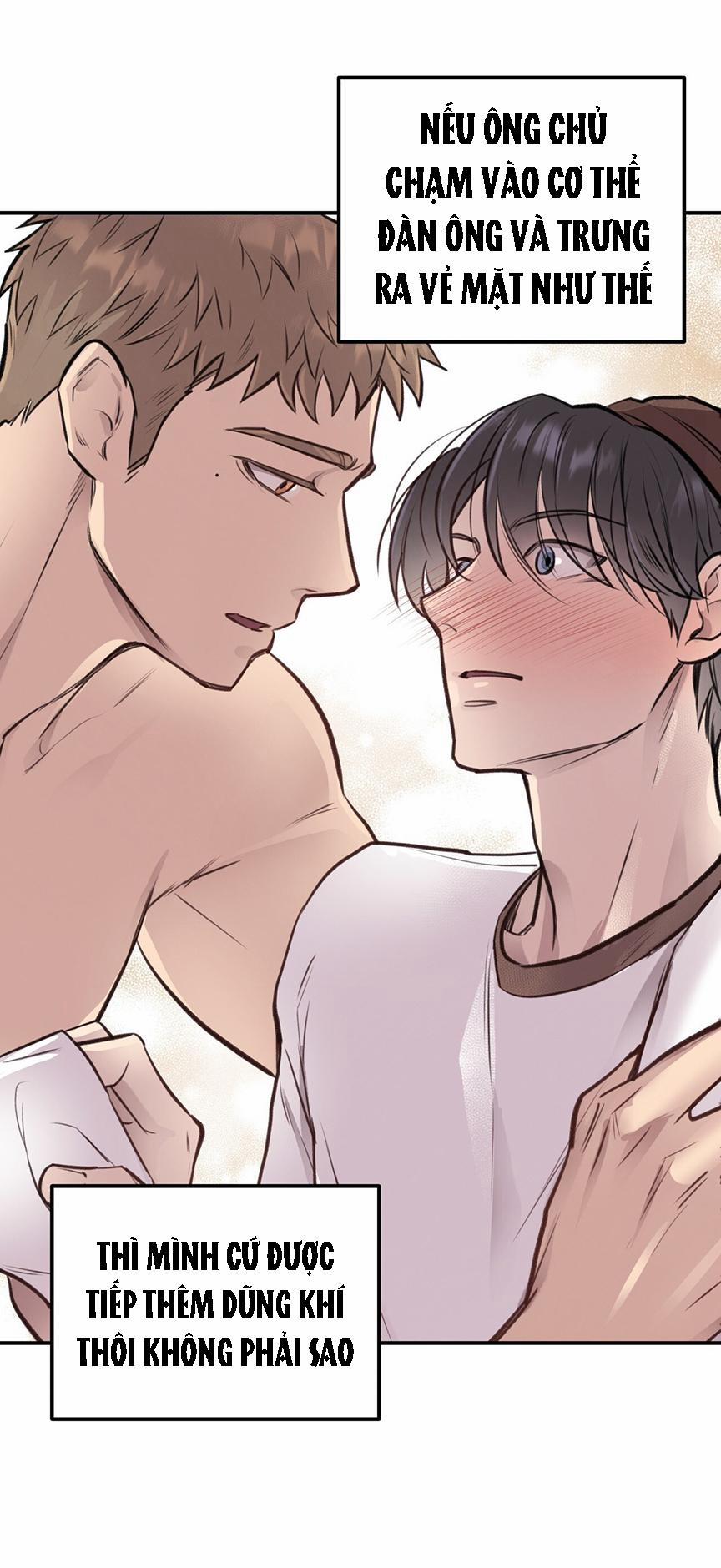 Honey Bear 8 trang 26