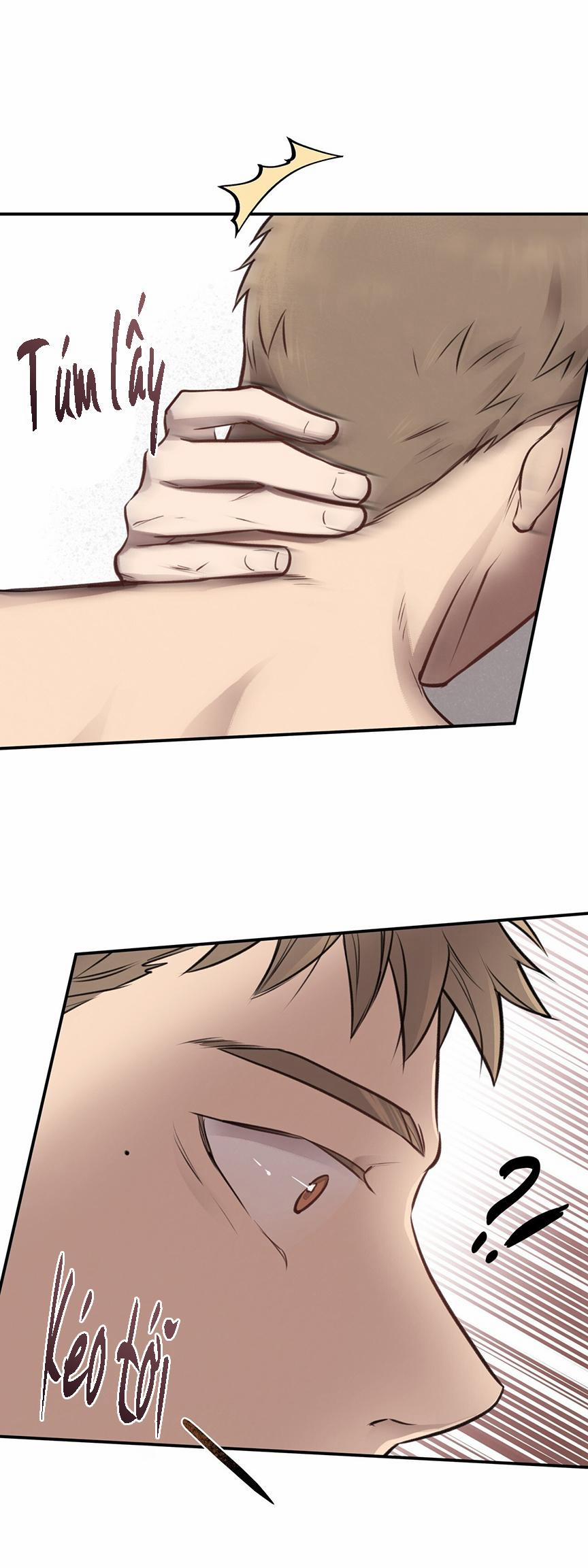 Honey Bear 8 trang 31