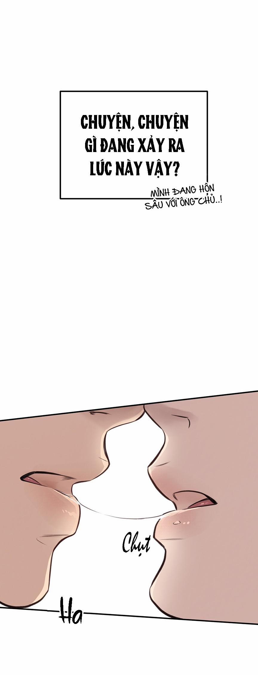 Honey Bear 8 trang 37