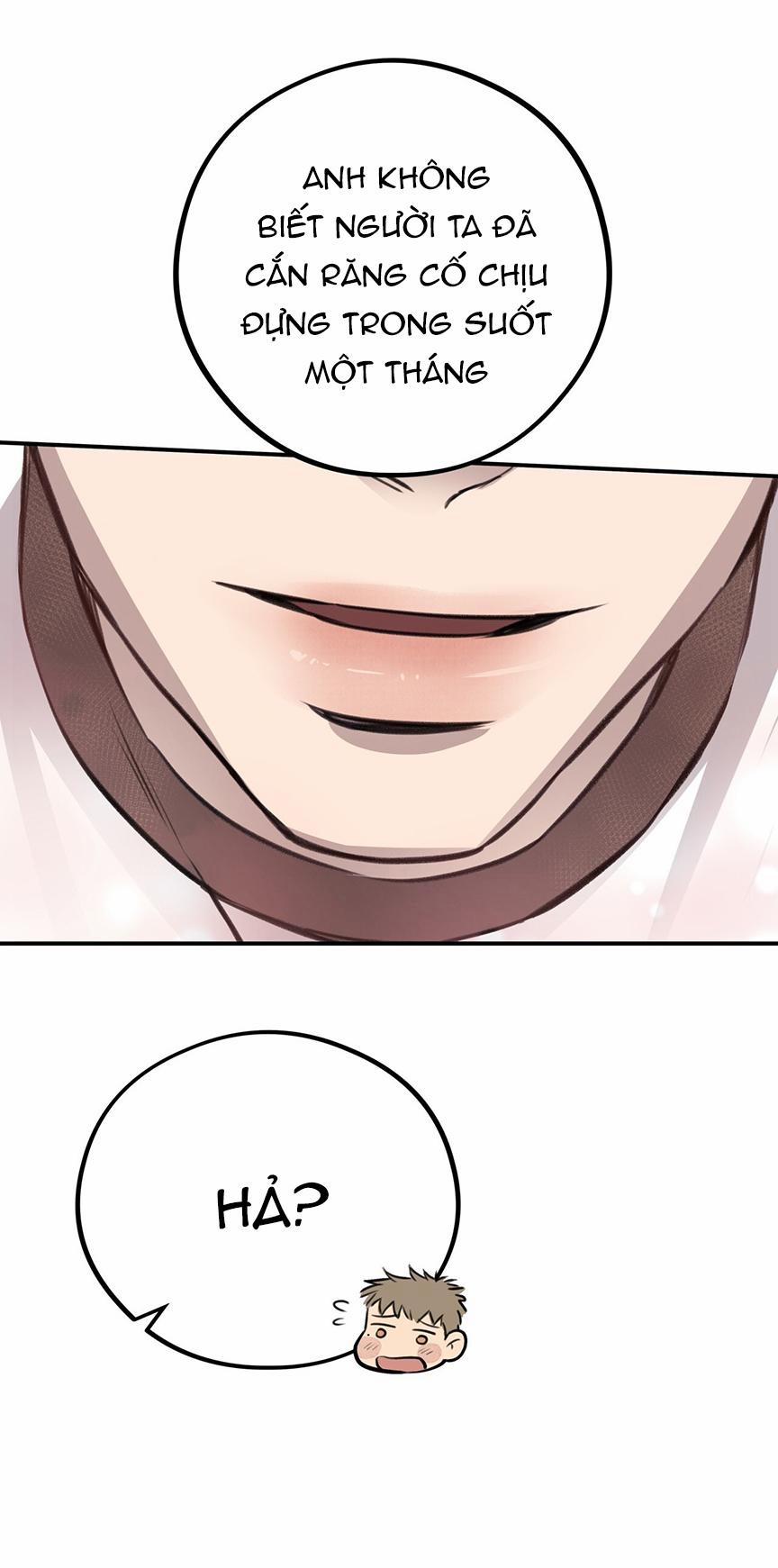 Honey Bear 8 trang 41