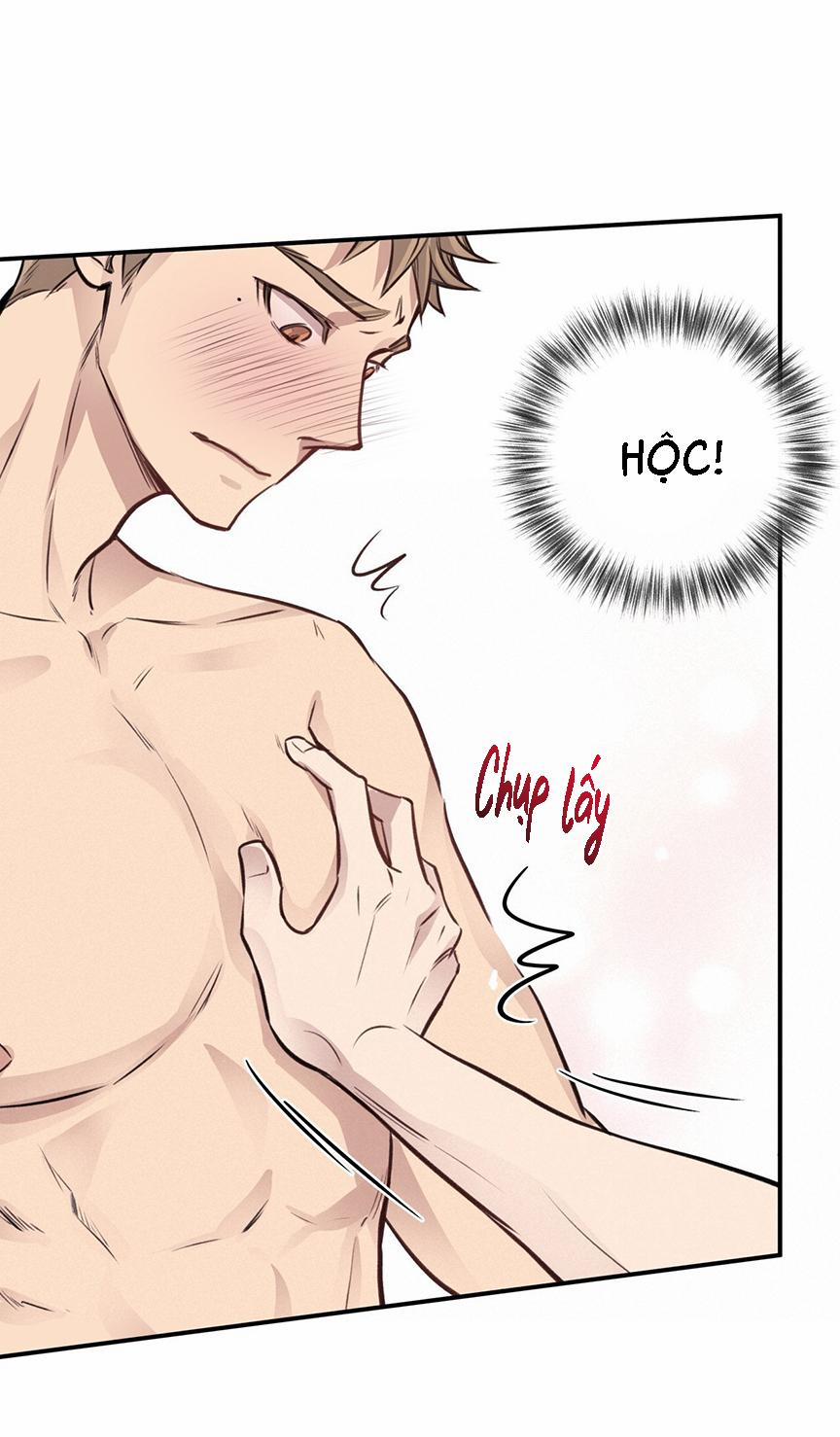 Honey Bear 8 trang 43