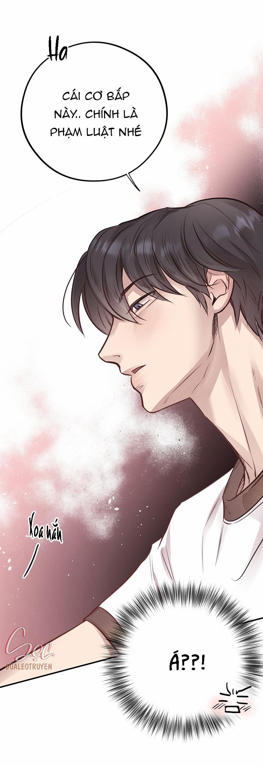 Honey Bear 8 trang 44