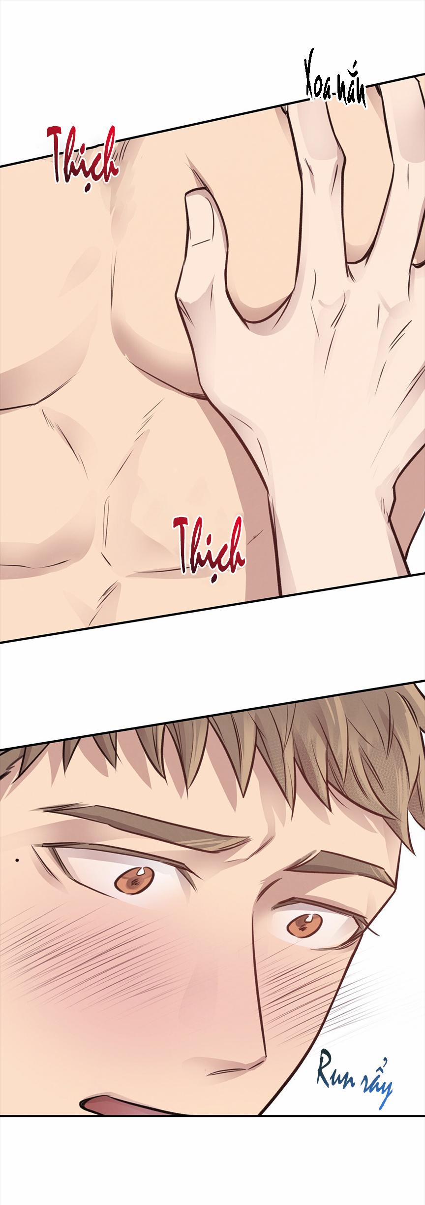 Honey Bear 8 trang 45