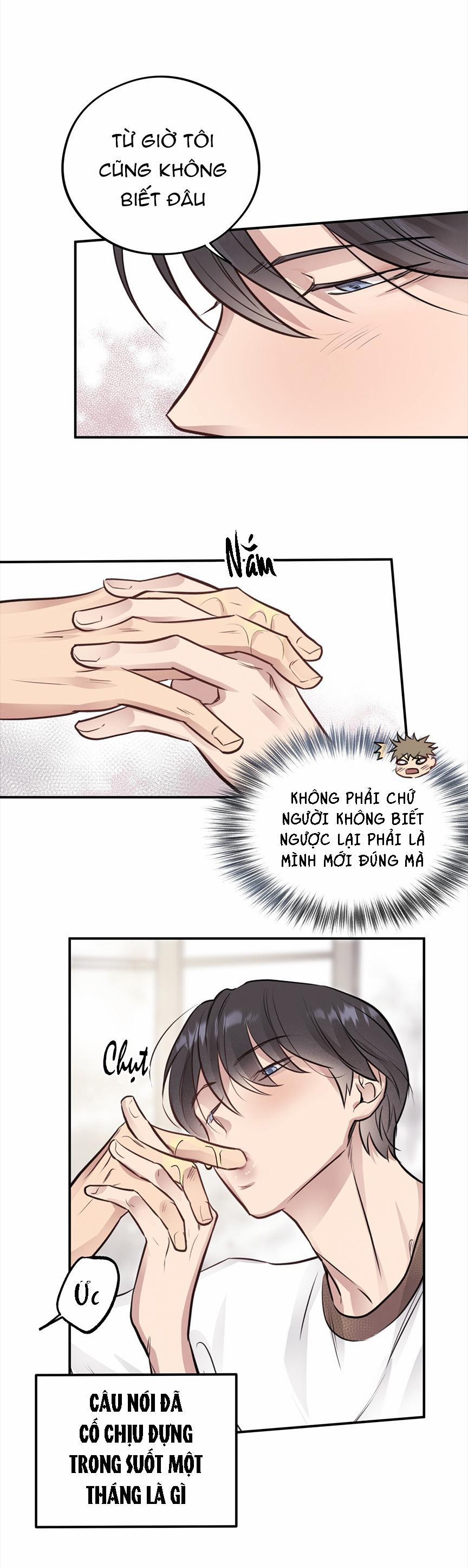 Honey Bear 8 trang 46