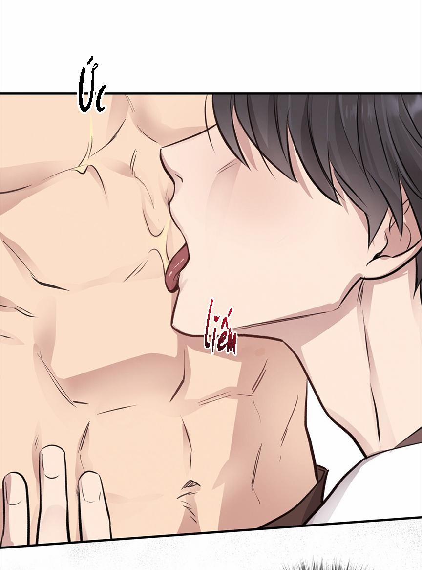 Honey Bear 8 trang 48