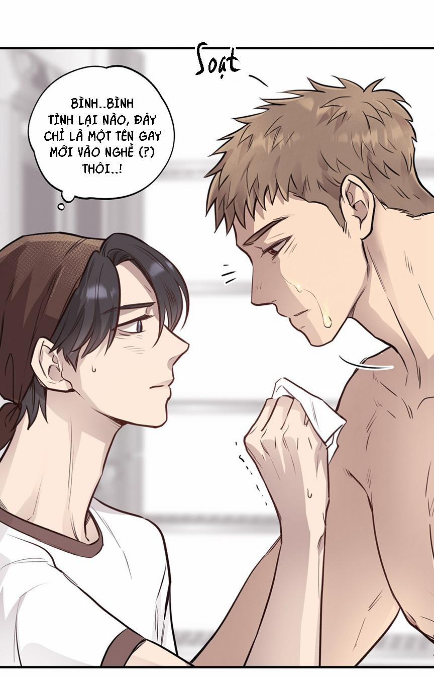 Honey Bear 8 trang 5