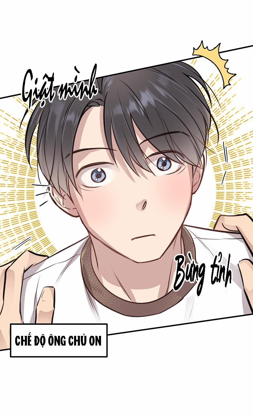 Honey Bear 8 trang 56