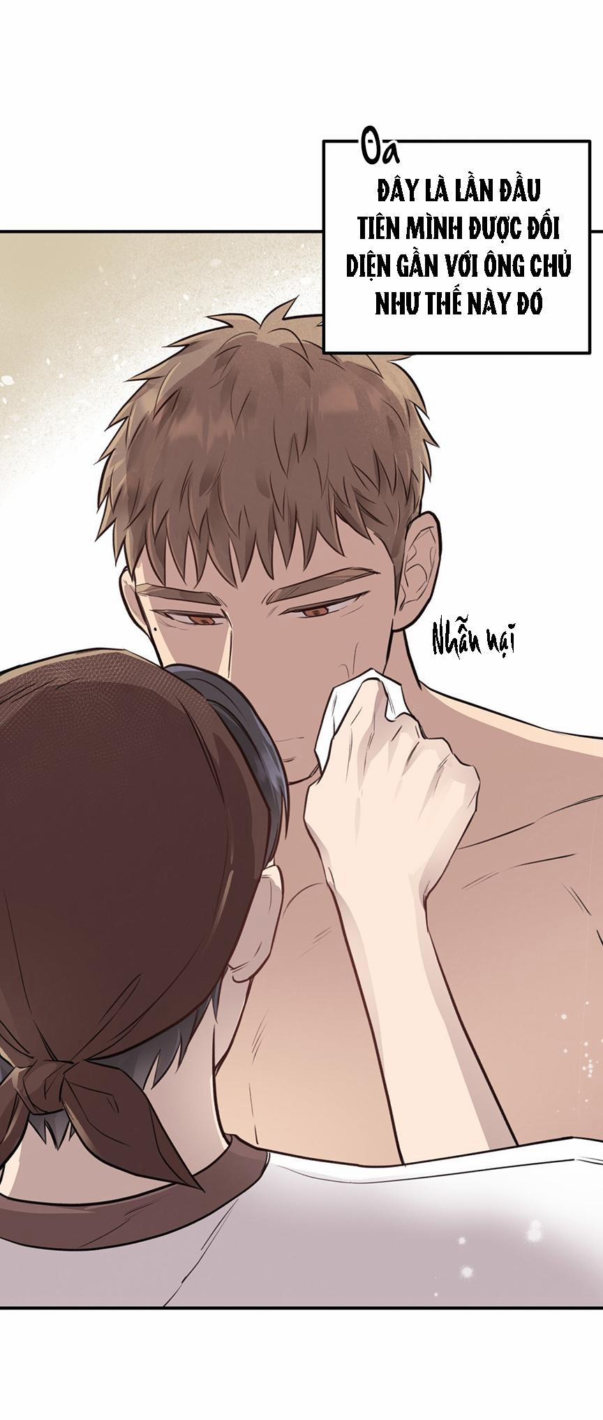 Honey Bear 8 trang 6