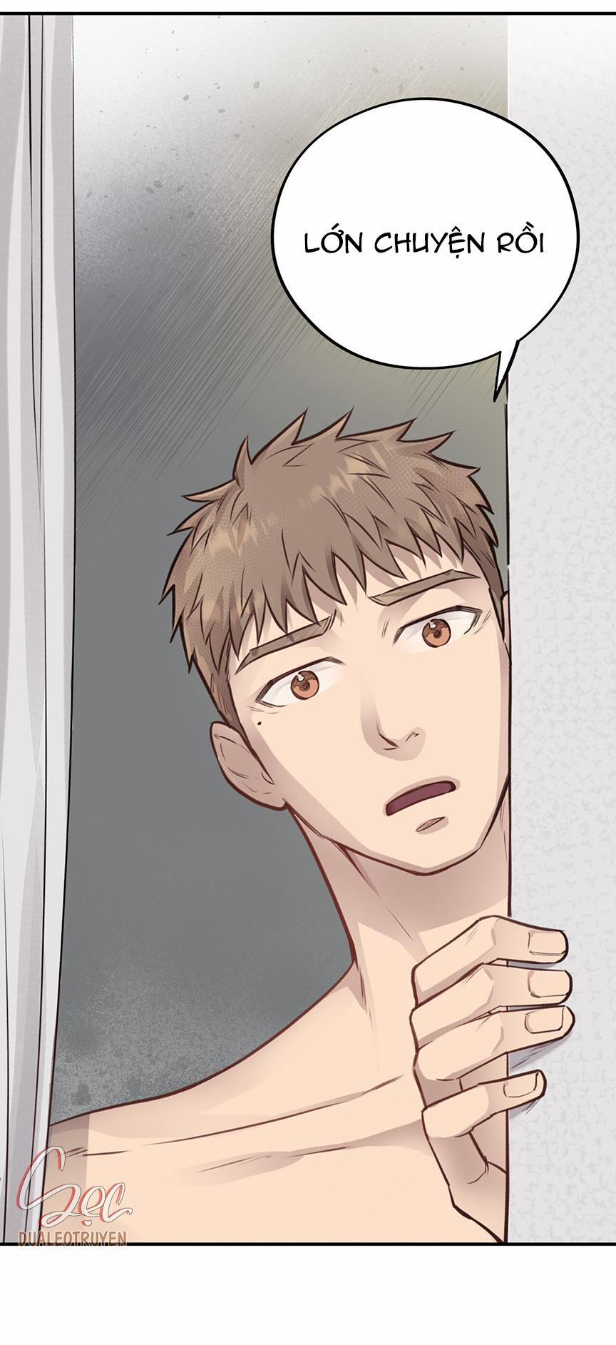 Honey Bear 8 trang 65