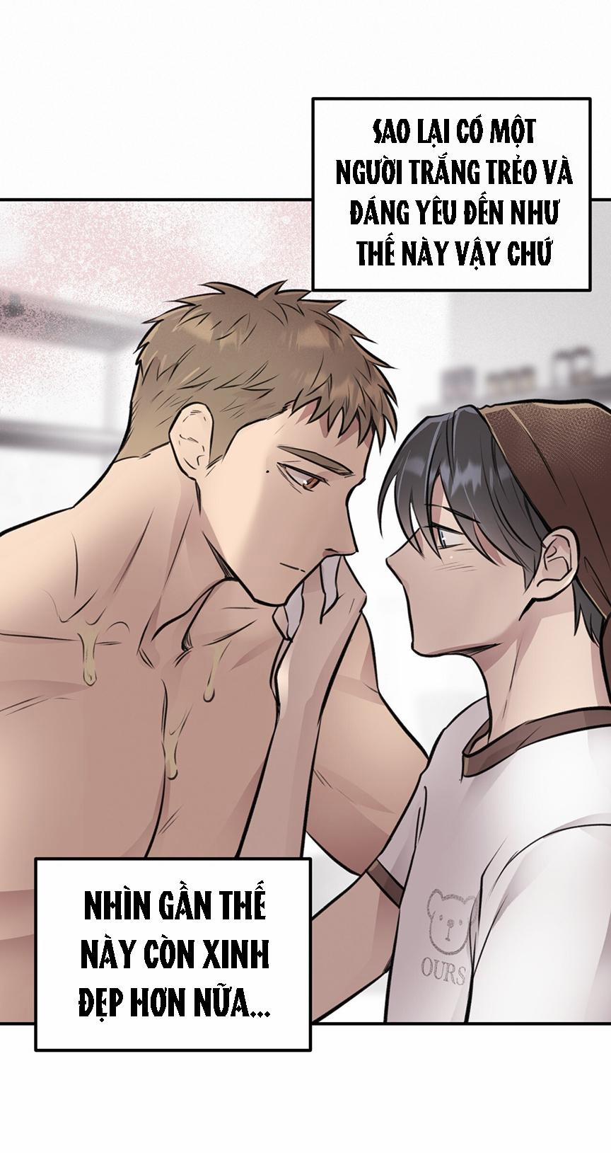 Honey Bear 8 trang 9