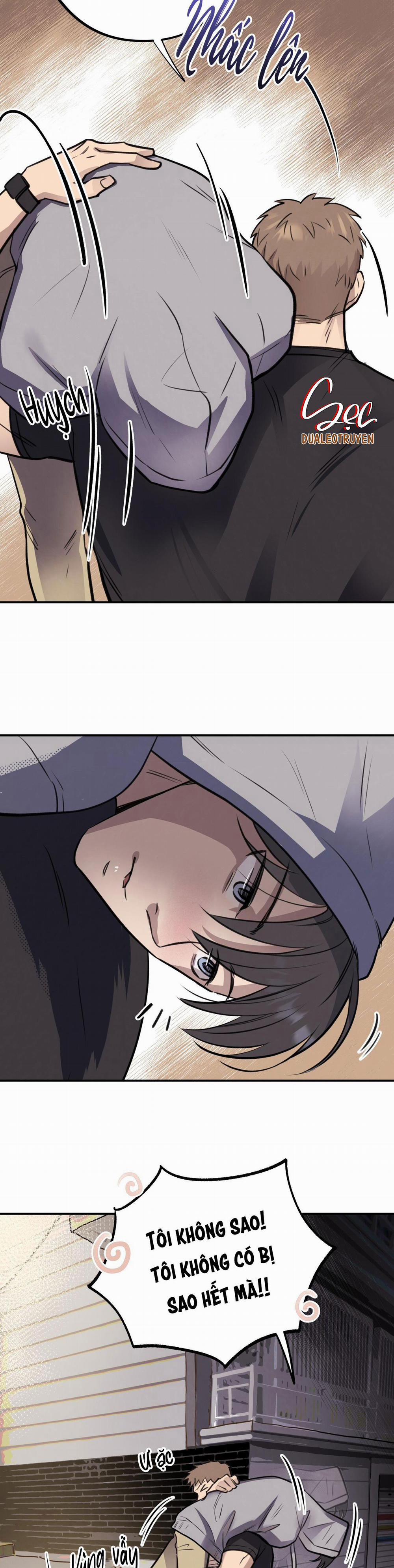 Honey Bear 9 trang 12