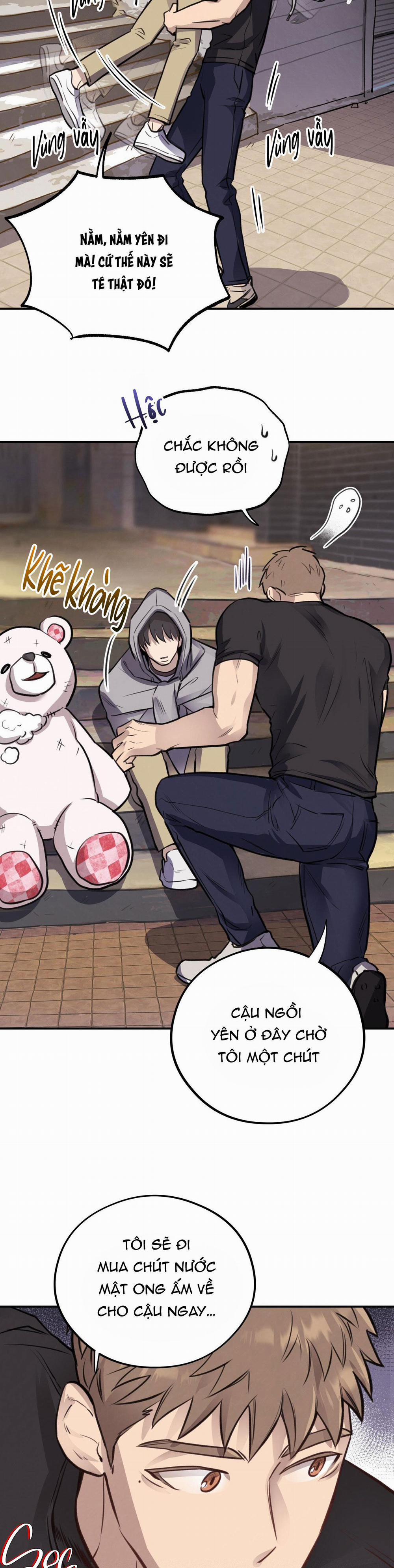 Honey Bear 9 trang 13