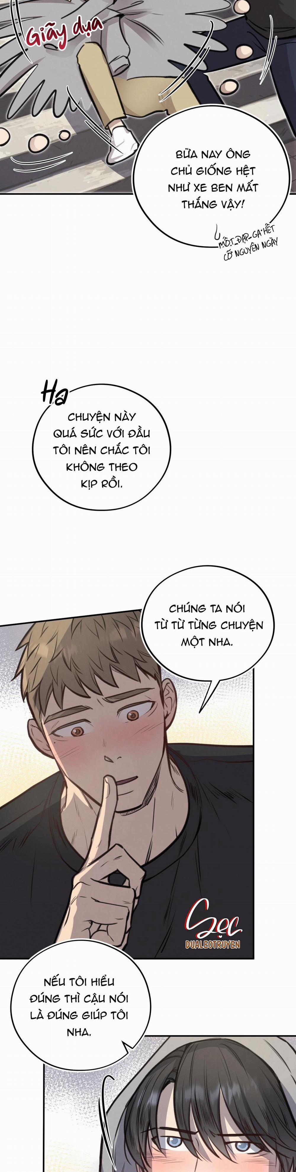 Honey Bear 9 trang 19