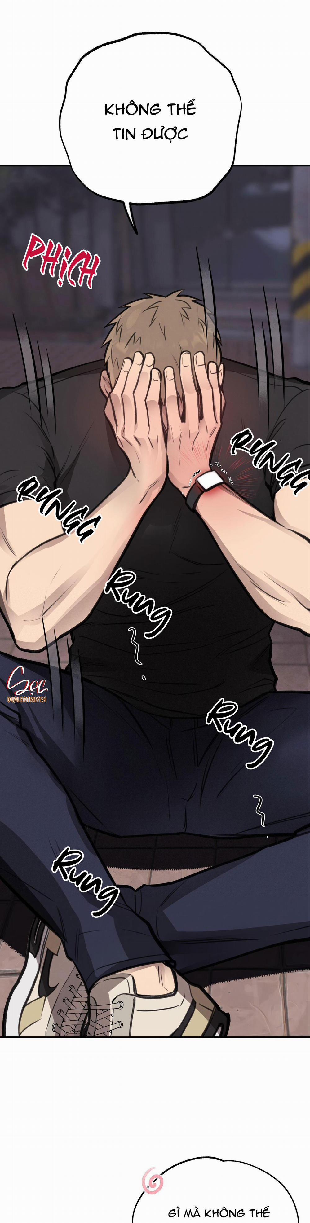 Honey Bear 9 trang 23