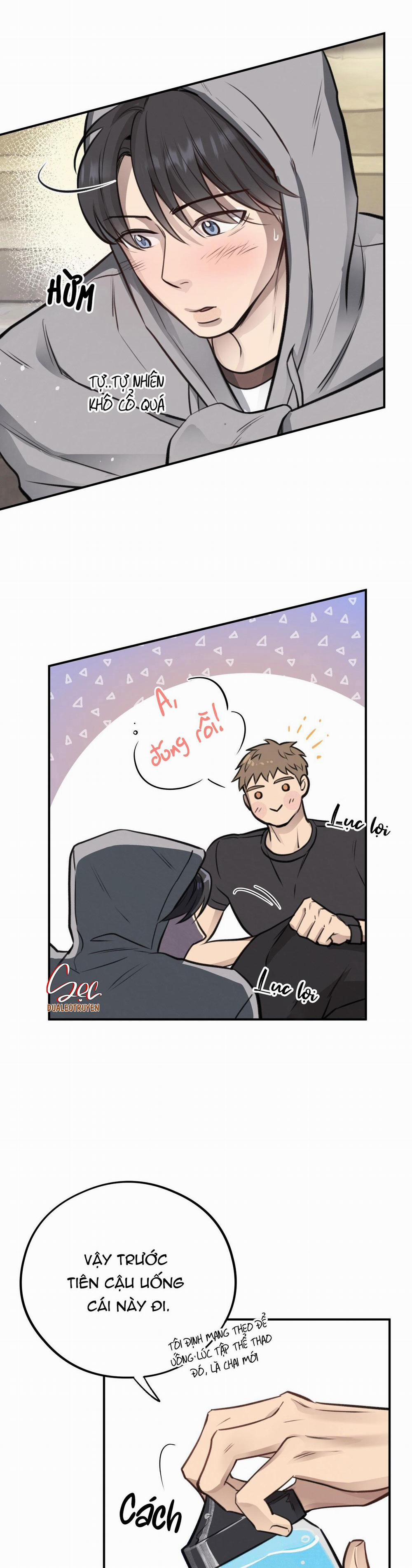 Honey Bear 9 trang 27