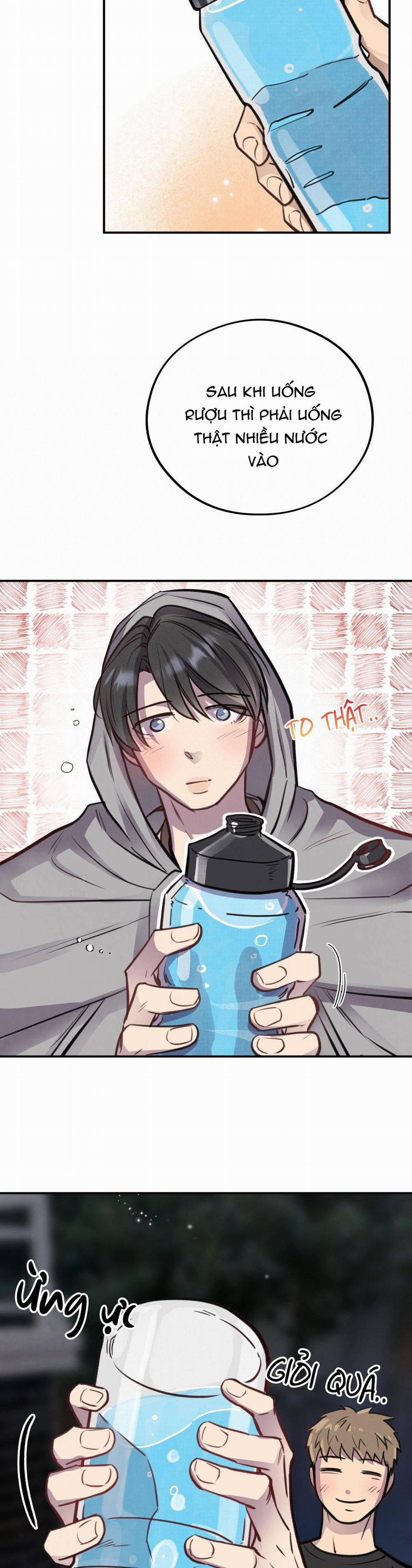 Honey Bear 9 trang 28