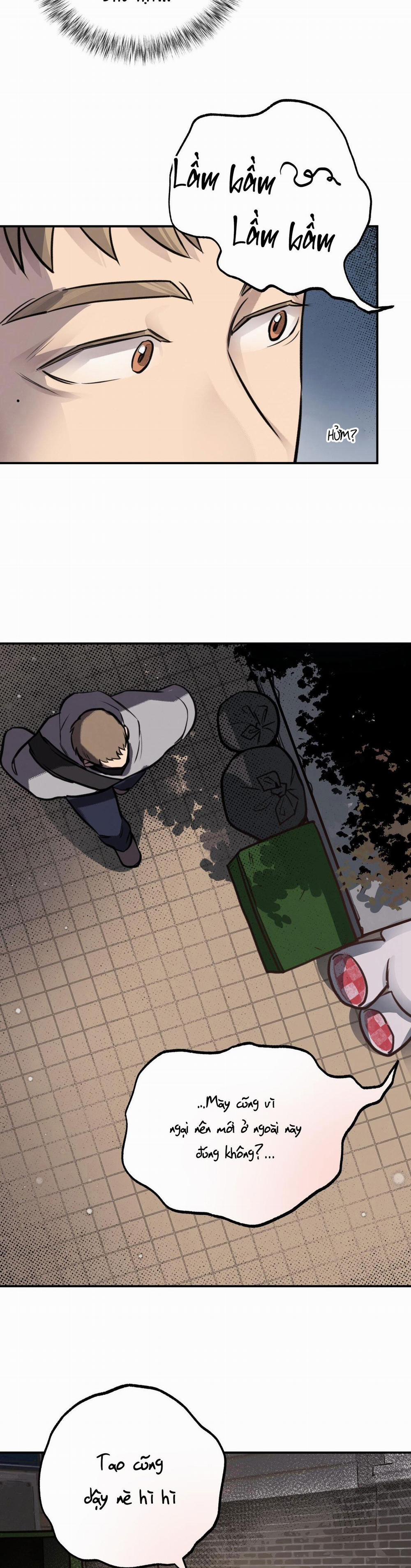 Honey Bear 9 trang 3