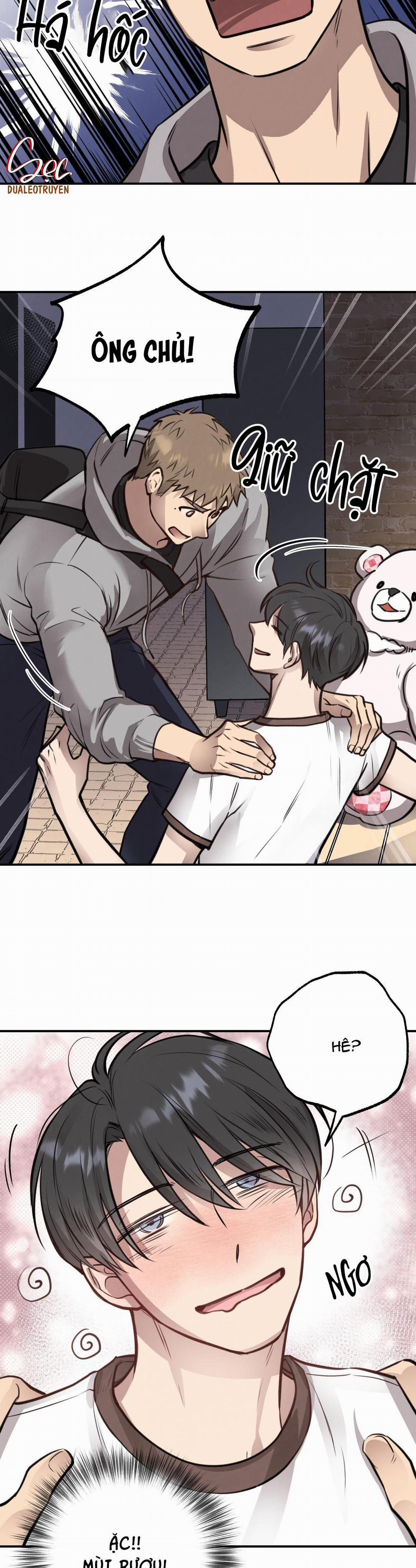 Honey Bear 9 trang 7