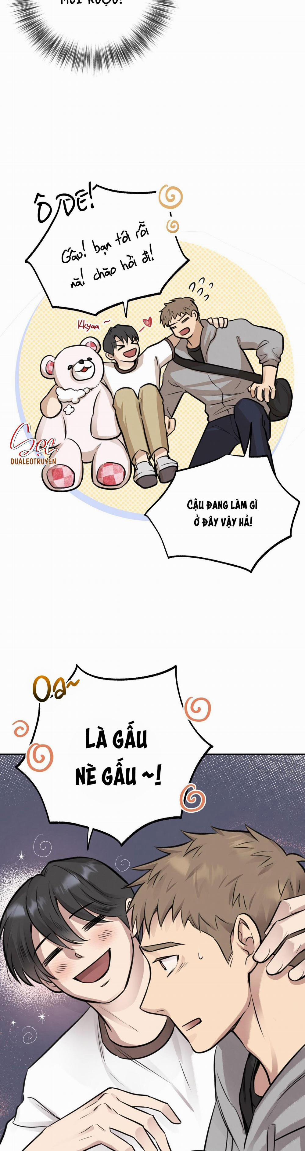 Honey Bear 9 trang 8