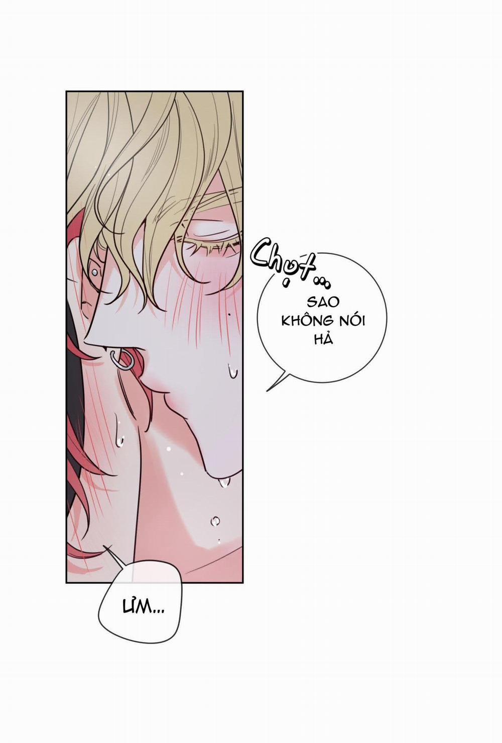 Honey Trouble - Rắc Rối Ngọt Ngào 1 trang 35