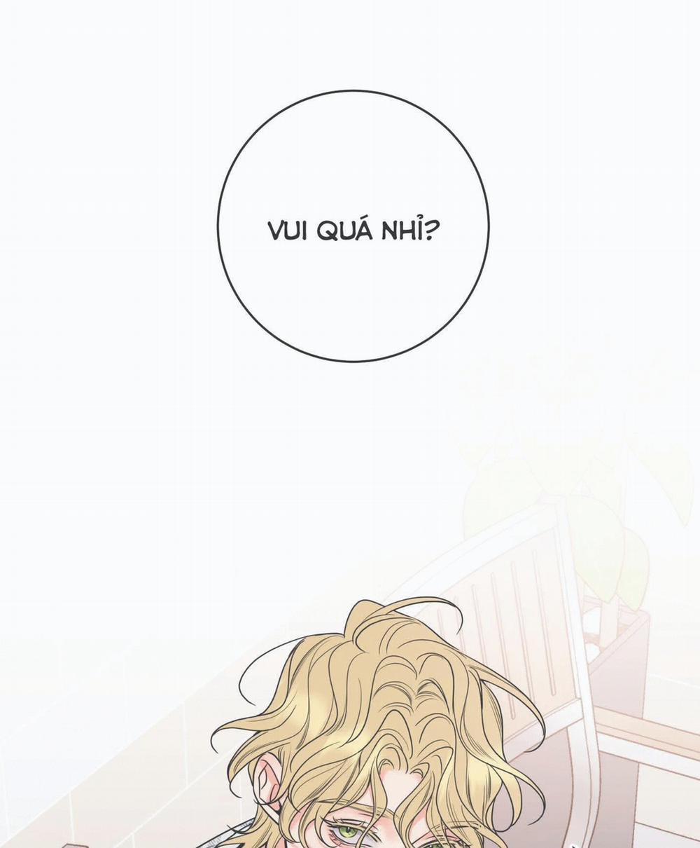 Honey Trouble - Rắc Rối Ngọt Ngào 11 trang 5