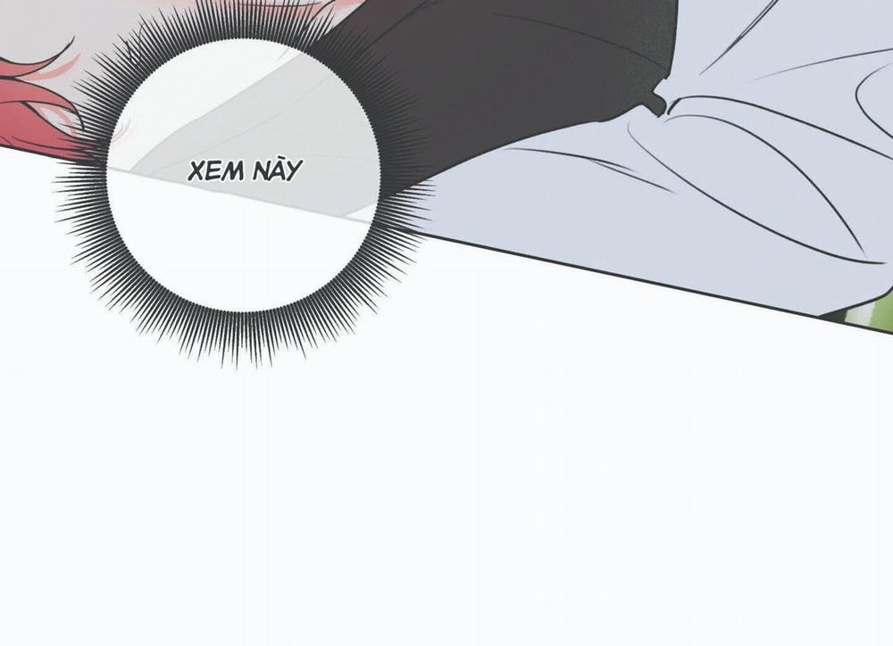 Honey Trouble - Rắc Rối Ngọt Ngào 11 trang 96